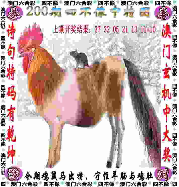 >新门内部资料免费提供最新